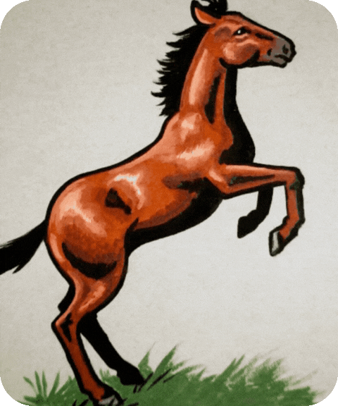 flashcard illustration