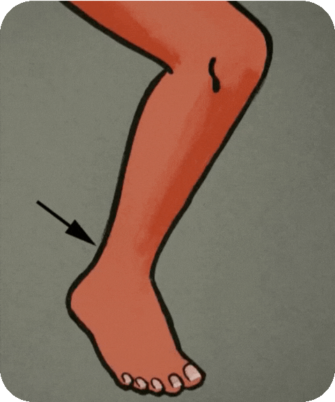 flashcard illustration