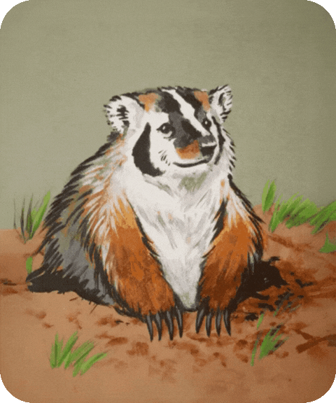 flashcard illustration