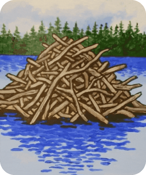 flashcard illustration