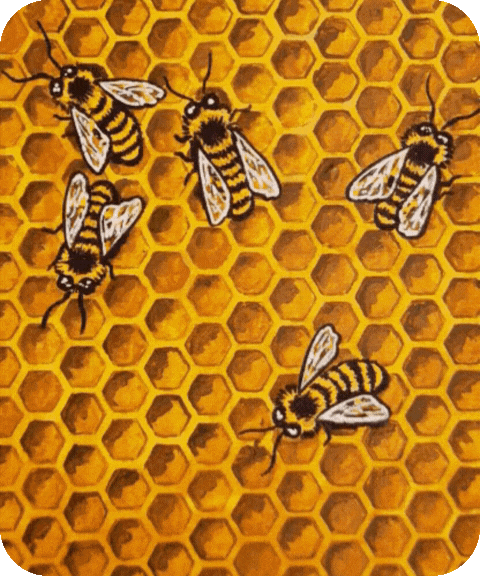 flashcard illustration