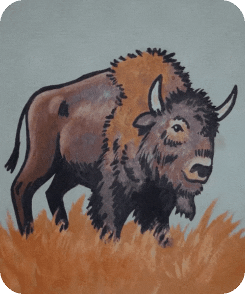 flashcard illustration