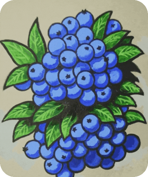 flashcard illustration