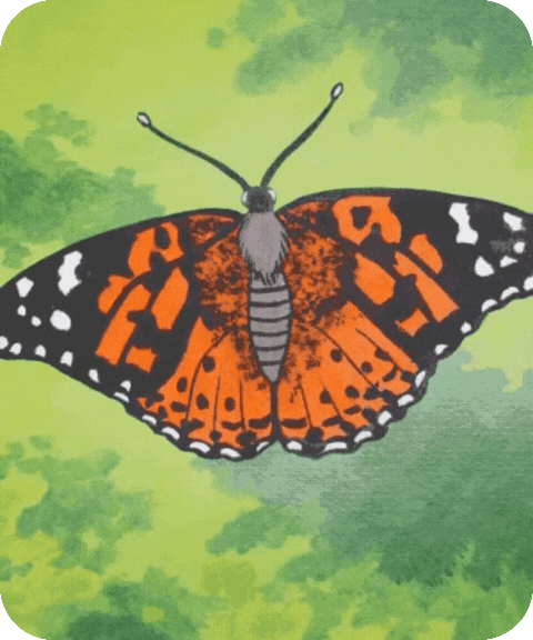 flashcard illustration