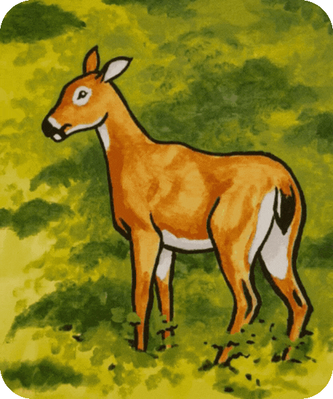 flashcard illustration