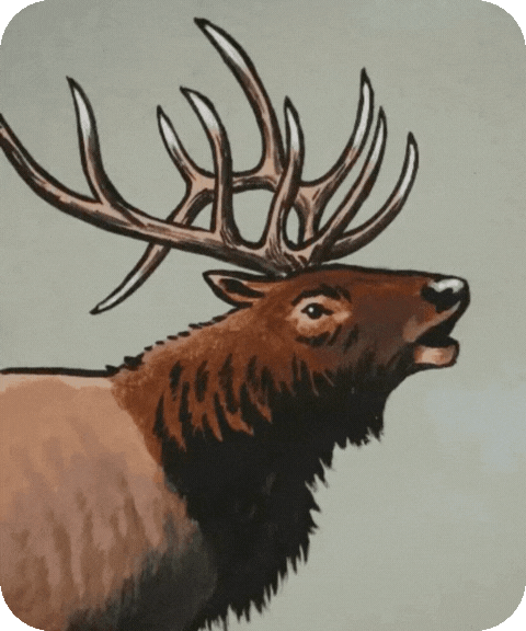 flashcard illustration