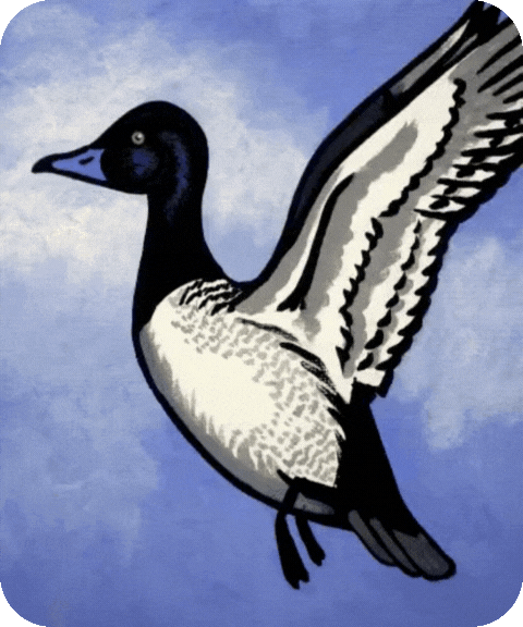 flashcard illustration