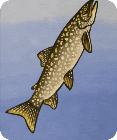 flashcard illustration