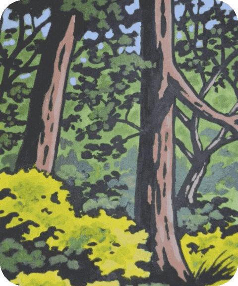 flashcard illustration