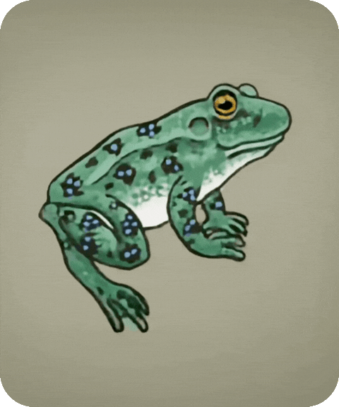 flashcard illustration