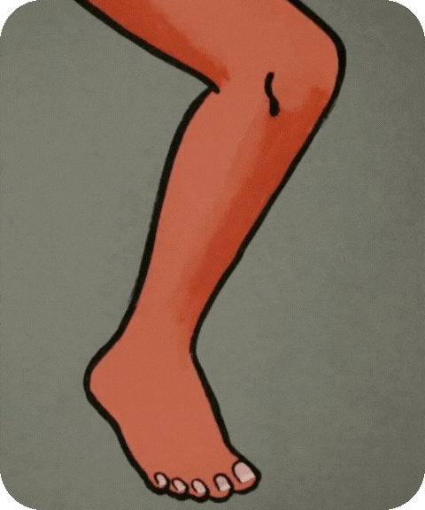 flashcard illustration