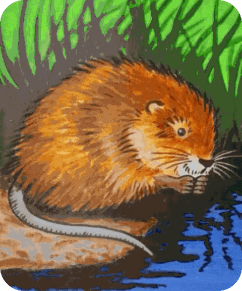 flashcard illustration