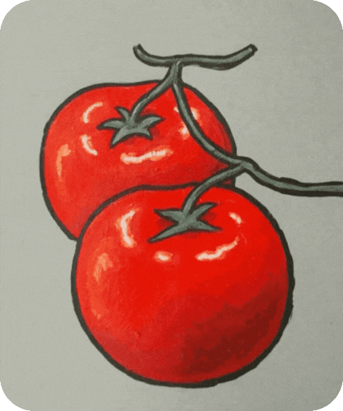 flashcard illustration