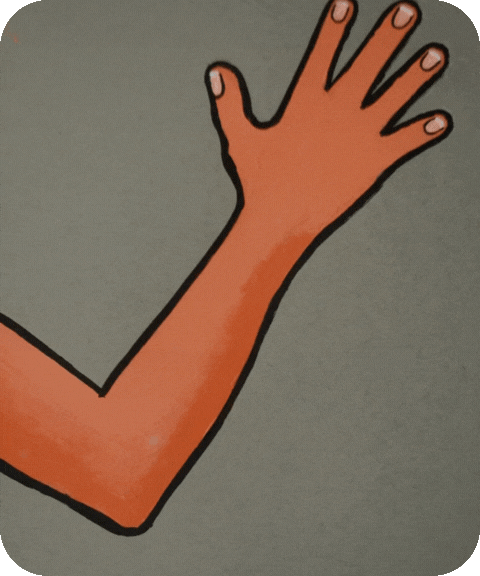 flashcard illustration